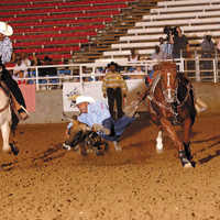Cowboys of Color Rodeo. Foto: Fort Worth Convention & Visitor's Bureau 