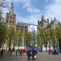 St. Johannes-Kathedrale 's-Hertogenbosch