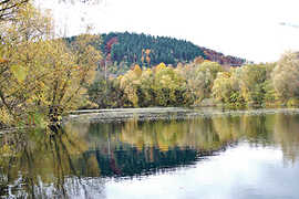 Blick vom Südostufer auf den Kiesweiher bei Oberkirch. Die Wasserfläche beträgt rund 1,2 Hektar.