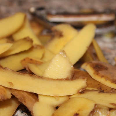In den Biotüten des A.R.T. landen auch viele Kartoffelschalen. Foto: kalhh/Pixabay